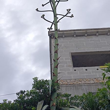 Apartmarin Trogir Extérieur photo