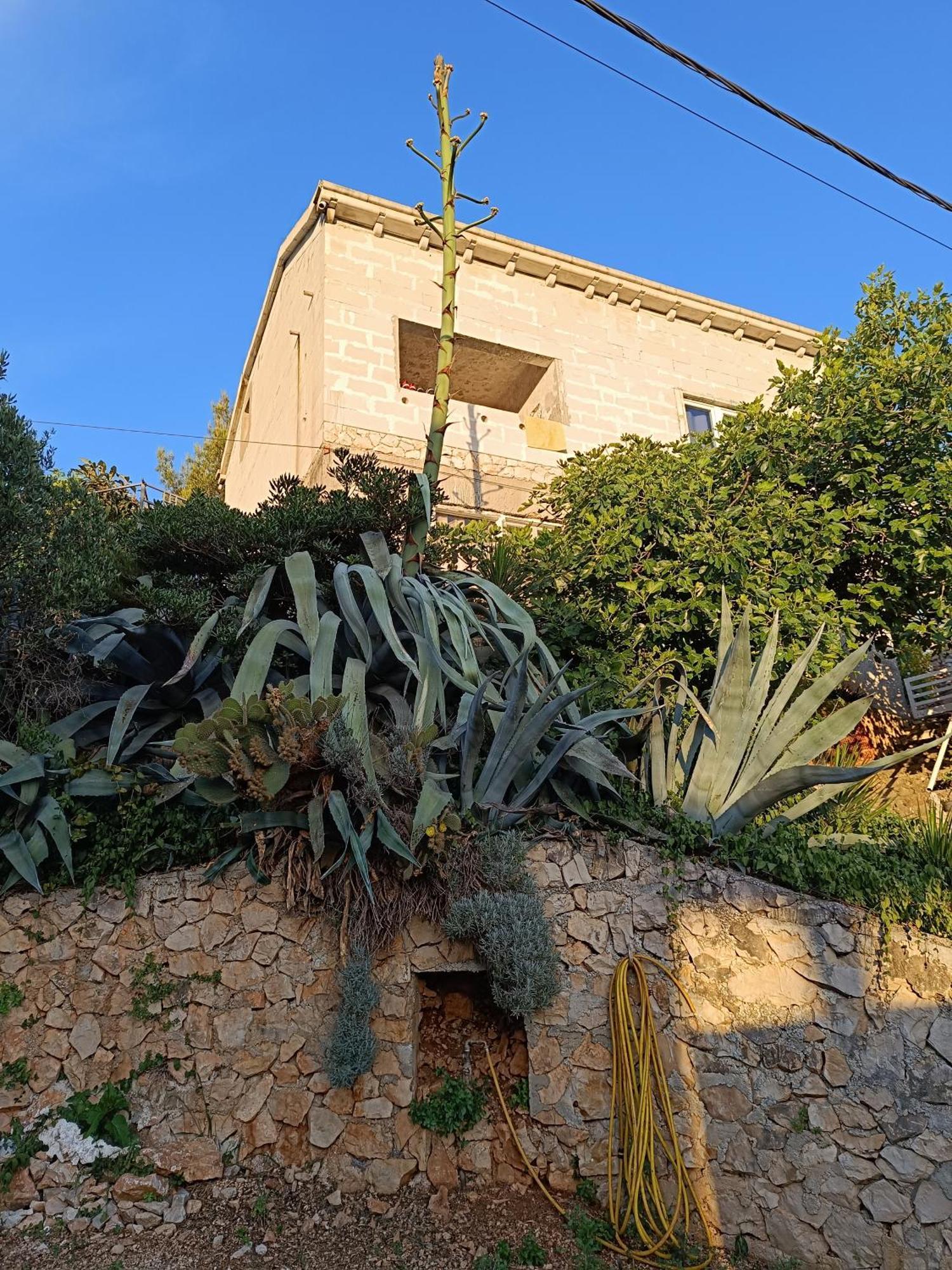 Apartmarin Trogir Extérieur photo