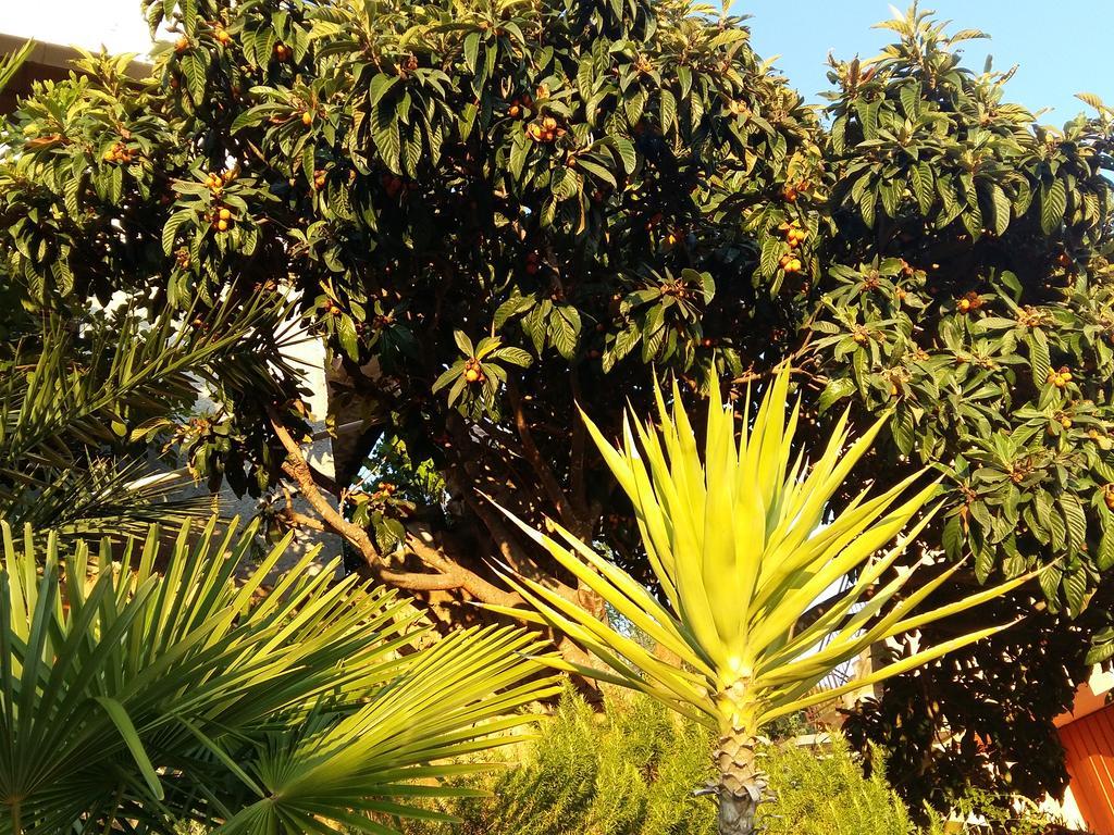 Apartmarin Trogir Extérieur photo